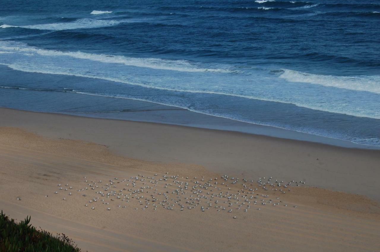 Santa Cruz Ocean View Villa Bombardeira Dış mekan fotoğraf